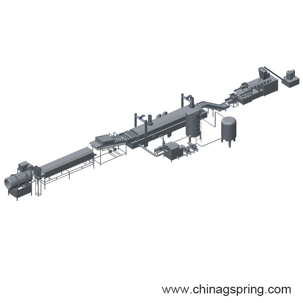 Continuous Fryer