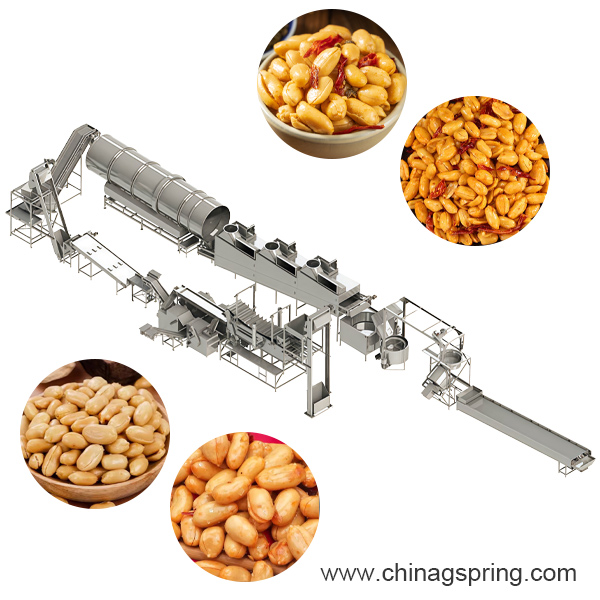 Fried Peanut Production Line