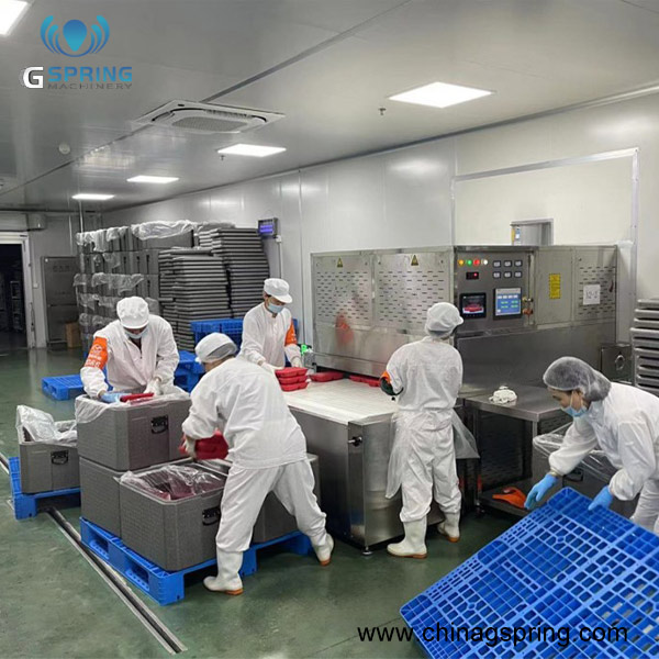 Most Popular Industrial Microwave Drying Line for Food Manufacturing Plant Continuous Microwave Dryer Machine
