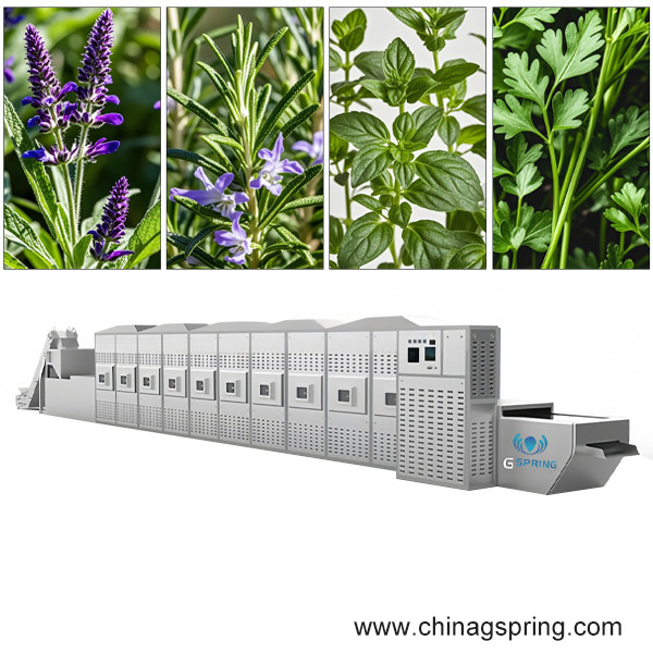 Herbs botanical microwave drying machine for Medicinal Plant Processing