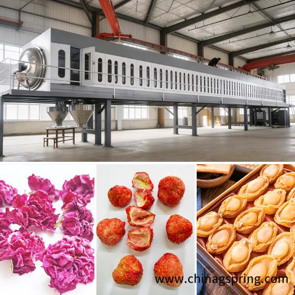 Hot Sale PLC Microwave Vacuum Dryer Machine Industrial Low Temperature Vacuum Drying Equipment