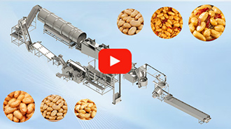 Fried Peanut Production Line