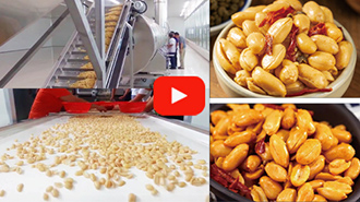 Fried Peanut Processing Equipment