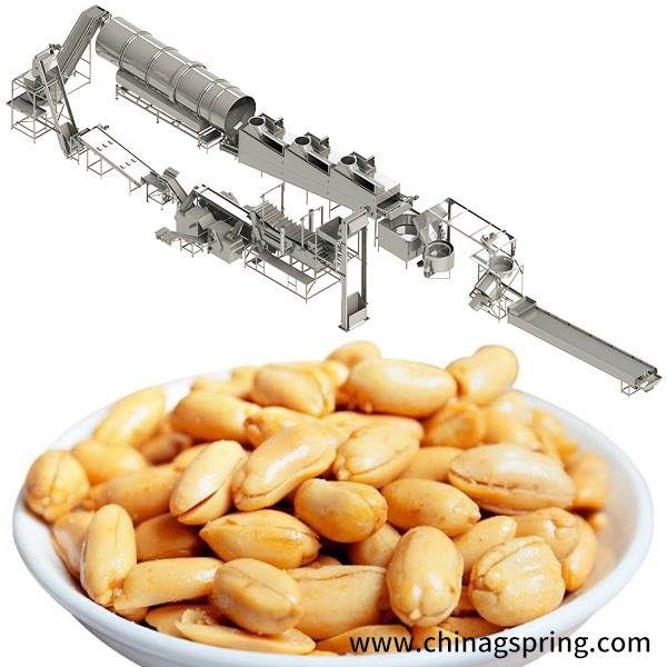 How to Make Salted Peanuts and Chili-Flavored Peanuts with an Automatic Production Line